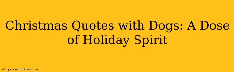 Christmas Quotes with Dogs: A Dose of Holiday Spirit